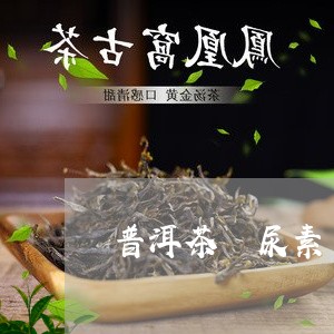 普洱茶 尿素/2023042800751